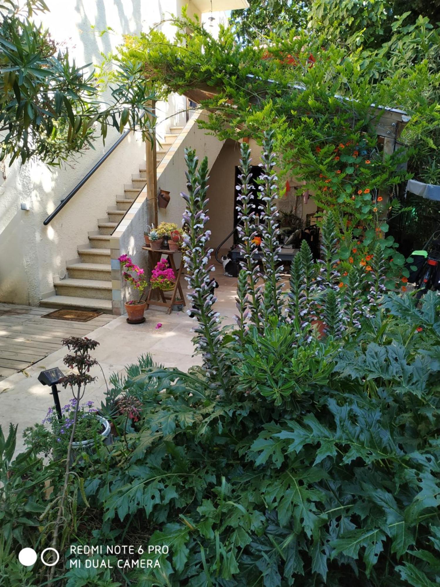 En Ville Avec Un Air De Campagne Arles Dış mekan fotoğraf